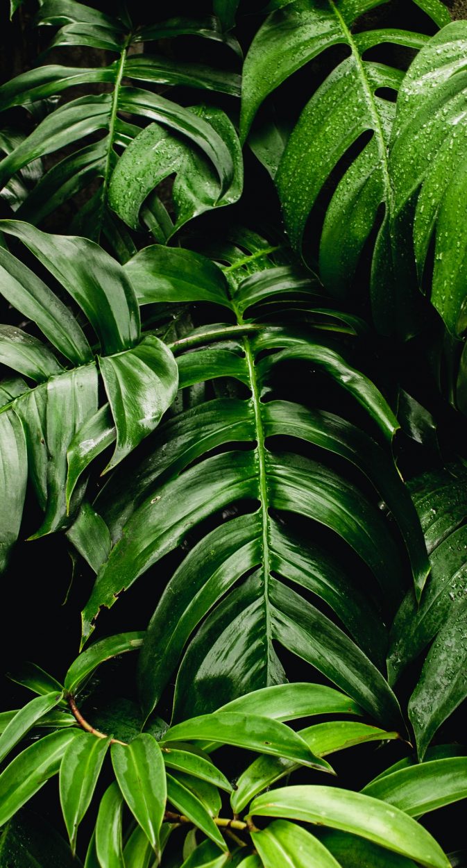 pexels-nothing-ahead-3571551